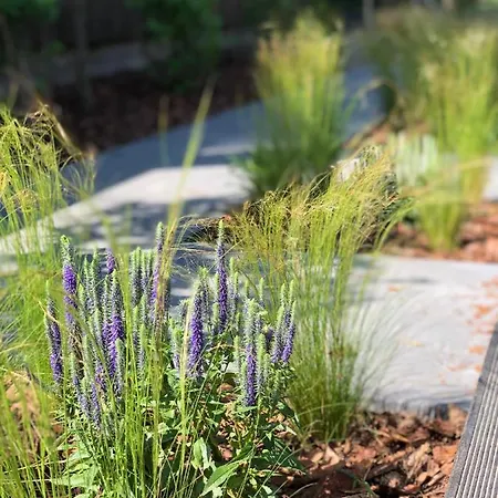 Forest House Pobierowo