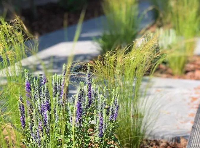 Forest House 포비에로보